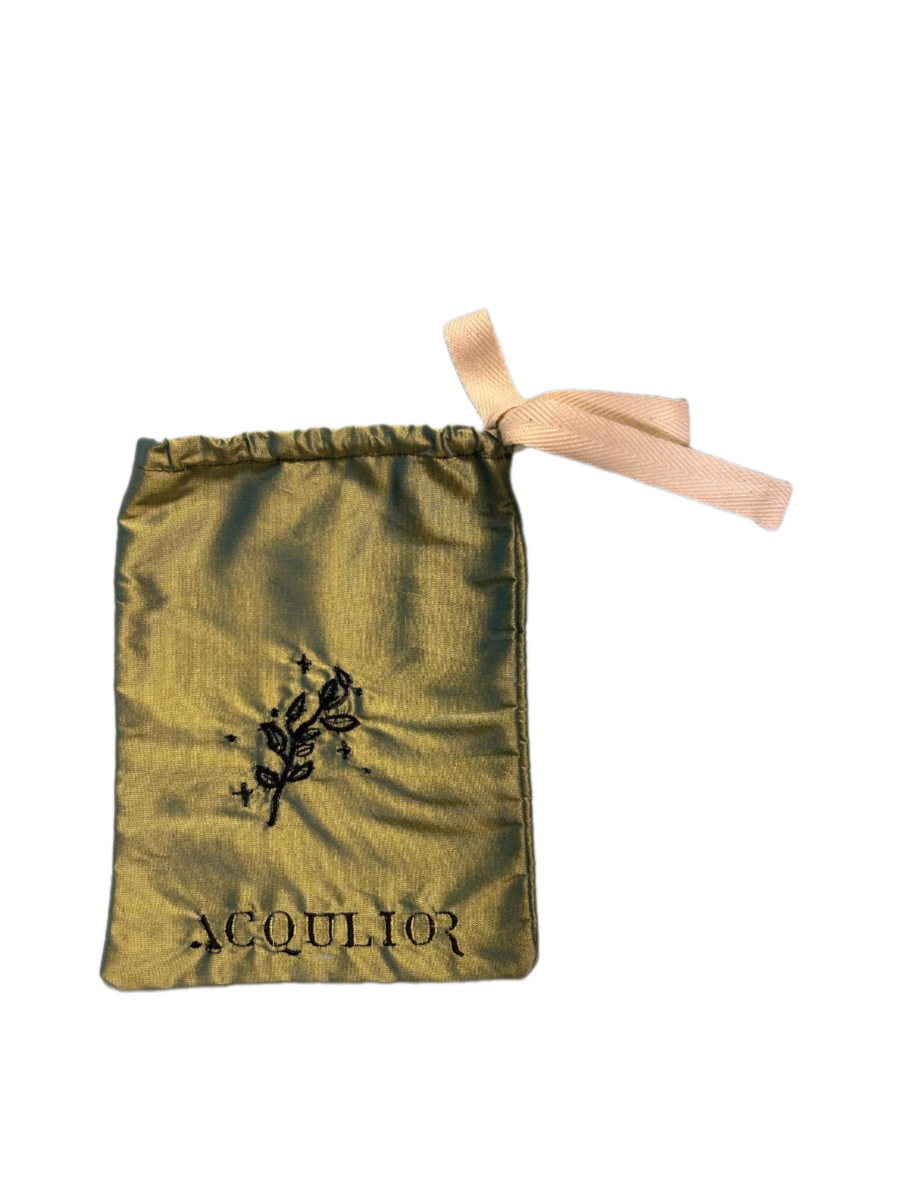 Bag of Holding (Druid)
