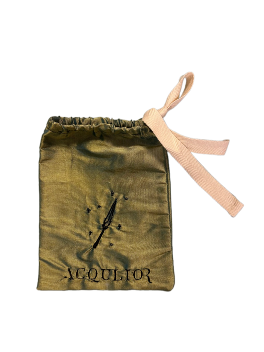 Bag of Holding (Rogue)