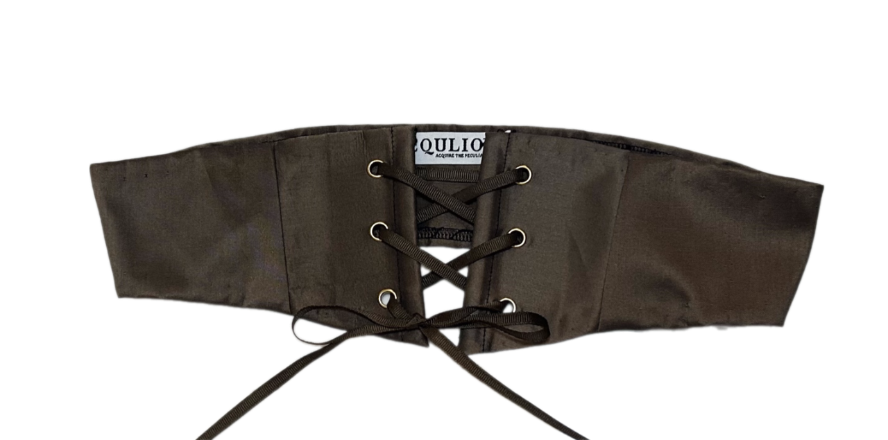 Upcycled Wren Belt (Bronzite)