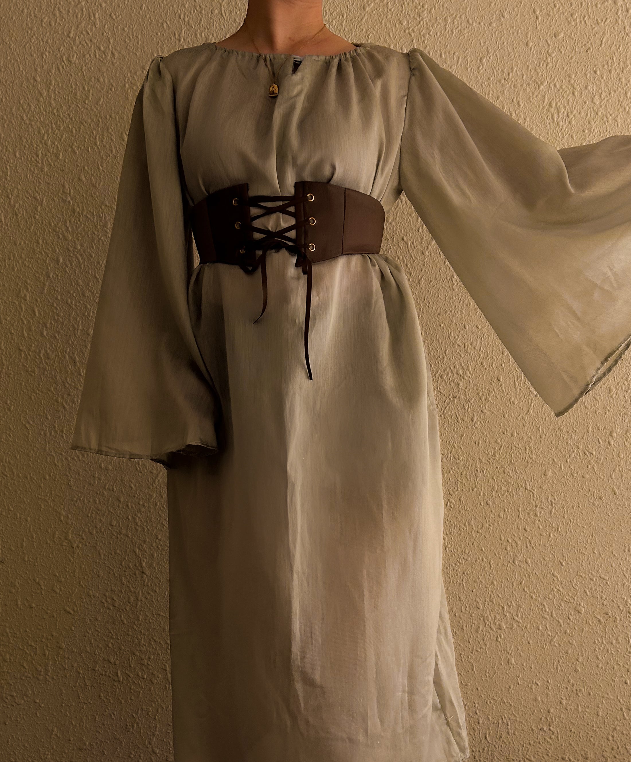 Upcycled Wren Belt (Bronzite)